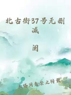 北古街37号无删减