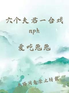 六个夫君一台戏nph