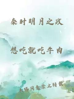 秦时明月之政