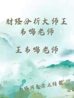 财经分析大师王韦鸣老师