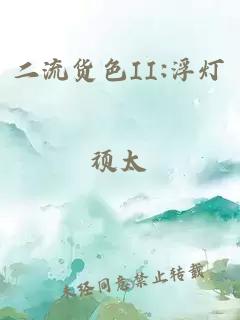 二流货色II:浮灯