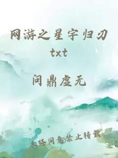 网游之星宇归刃txt