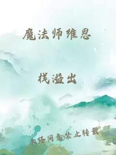 魔法师维恩