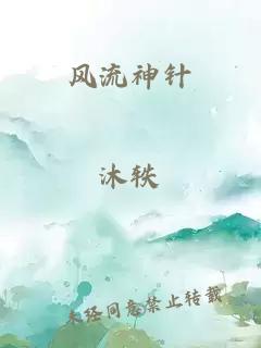 风流神针