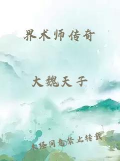 界术师传奇