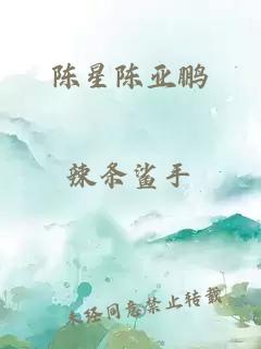 陈星陈亚鹏