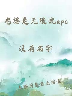 老婆是无限流npc