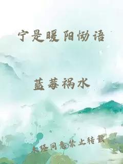 宁是暖阳恸语